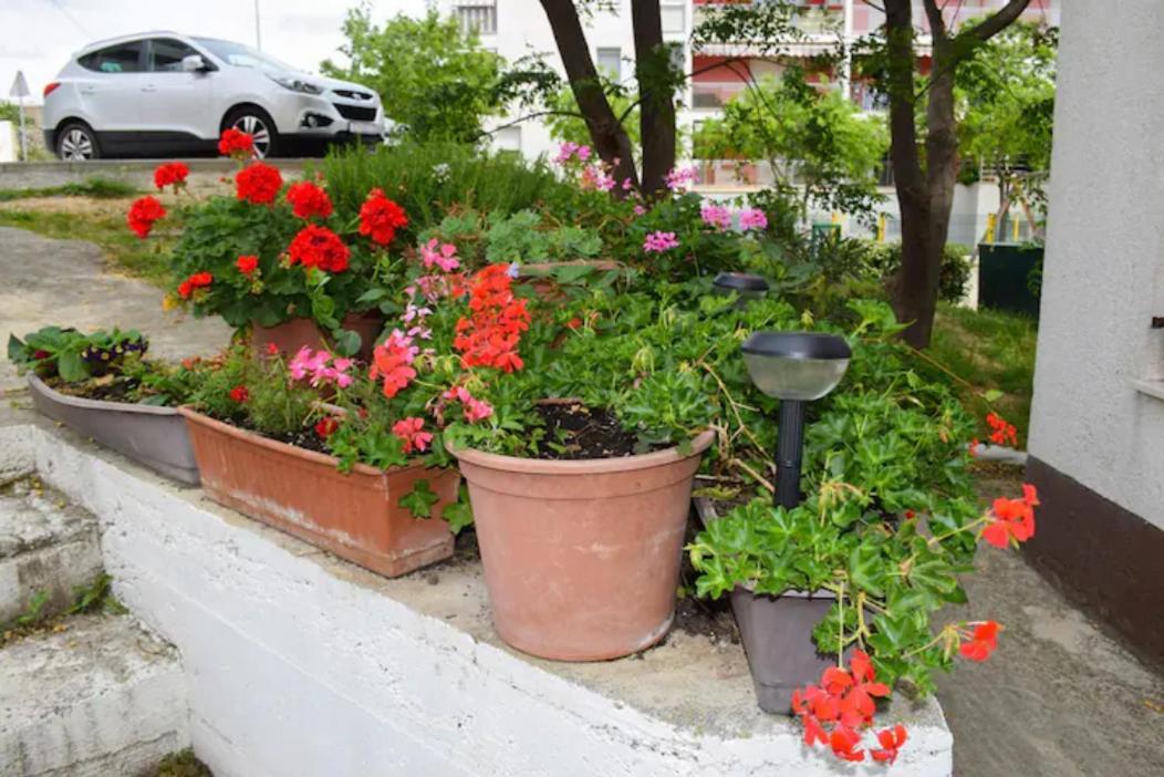 Apartments Marasovic - Roko Split Dış mekan fotoğraf